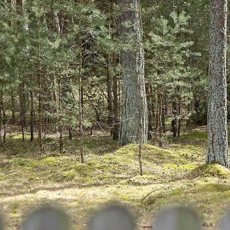 2654-nexo-mollestien-5 Vester Somarken